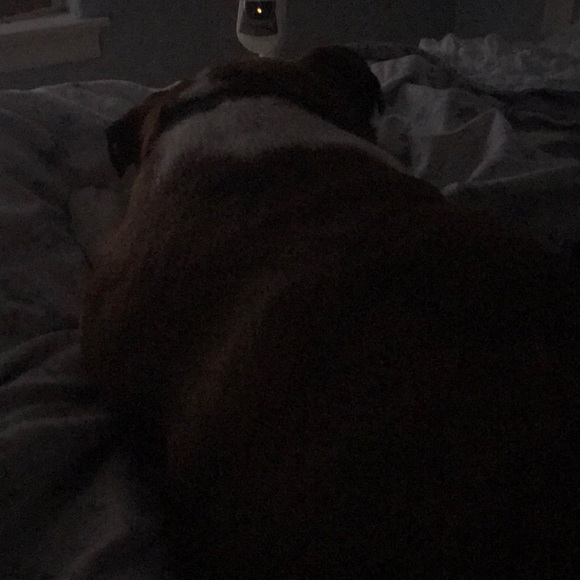 Meet your Posher, Meg - Picture 1 of 1